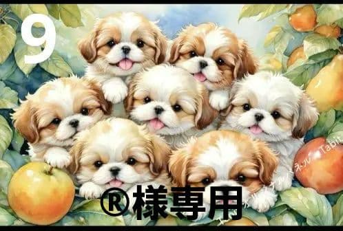 Tabit様パネル
