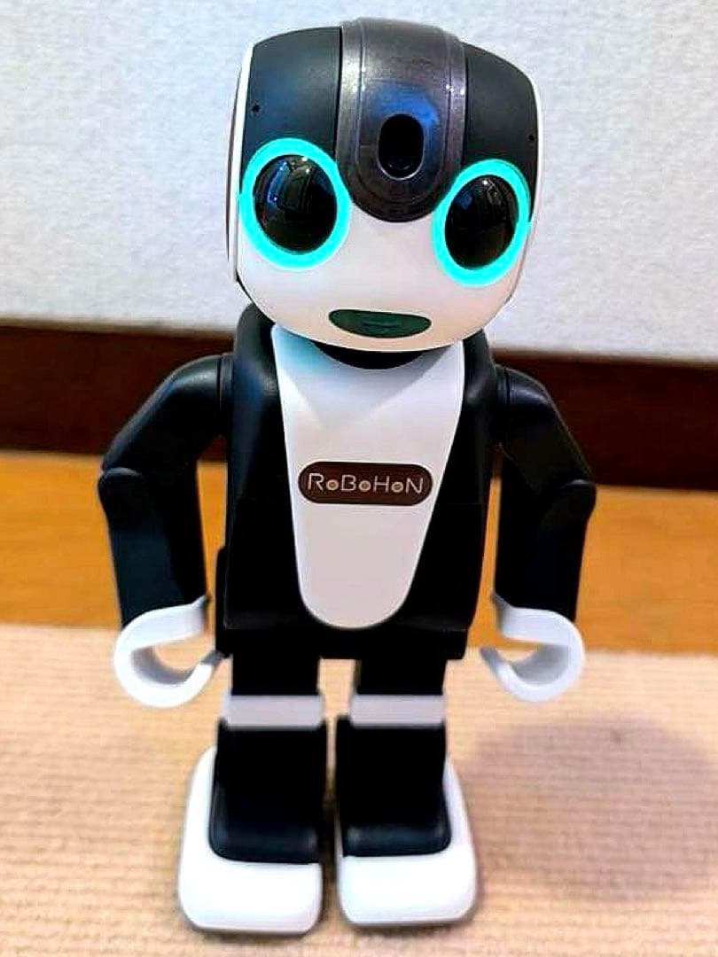 h*r様 SHARP RoBoHoN ブラウン系　タブレット付き