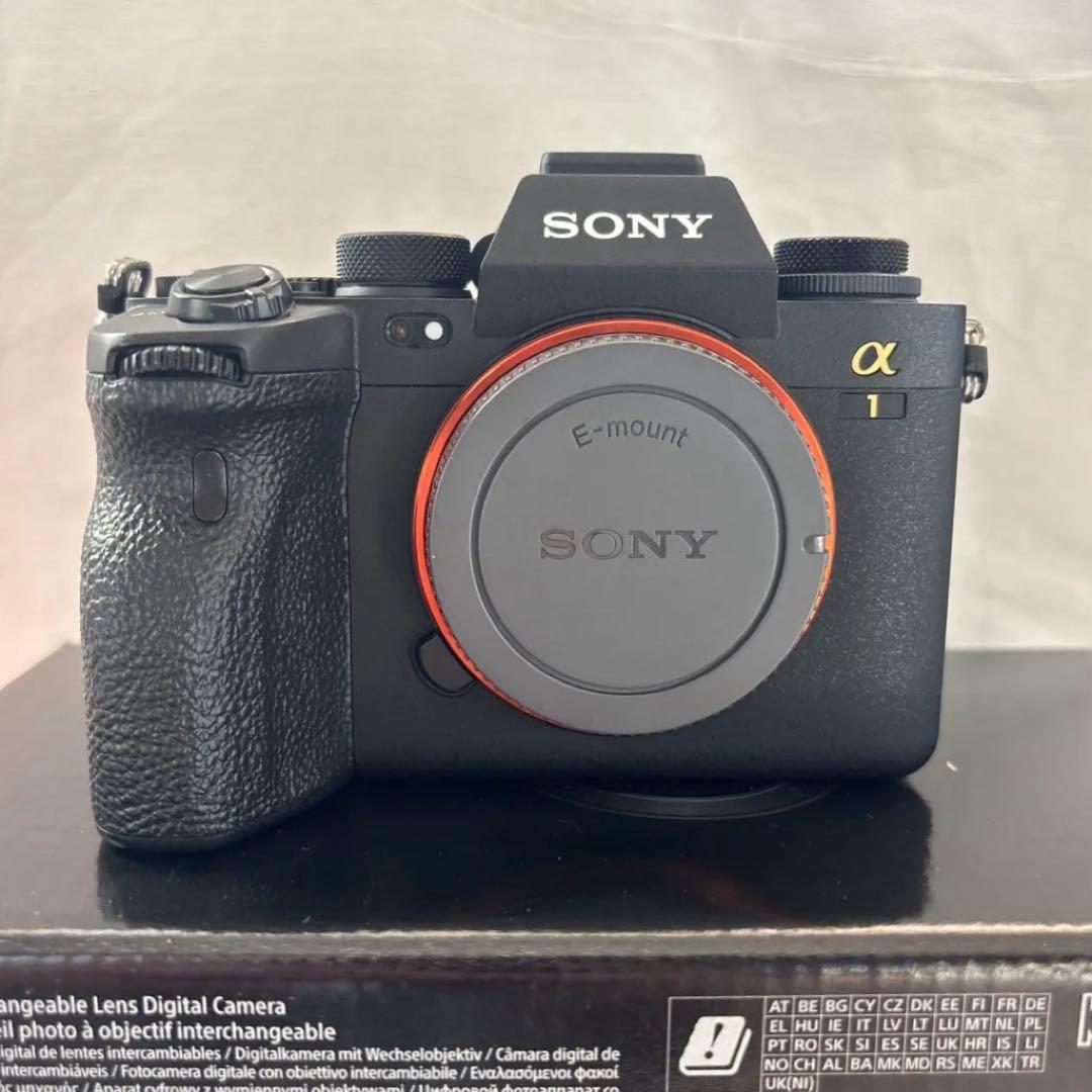 SONY α1 シャッター2795回
