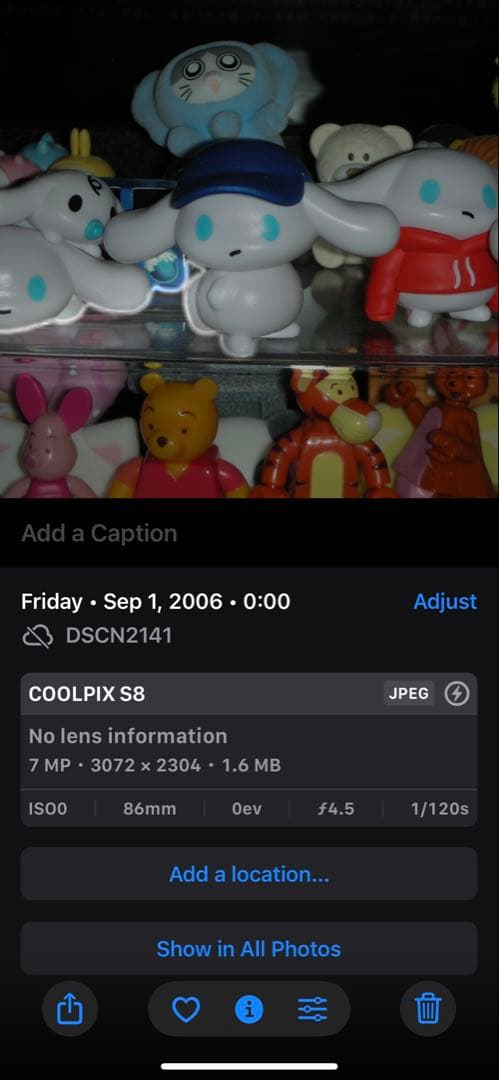 Nikon COOLPIX S8 デジタルカメラ シルバー　CCD 動作美品作例