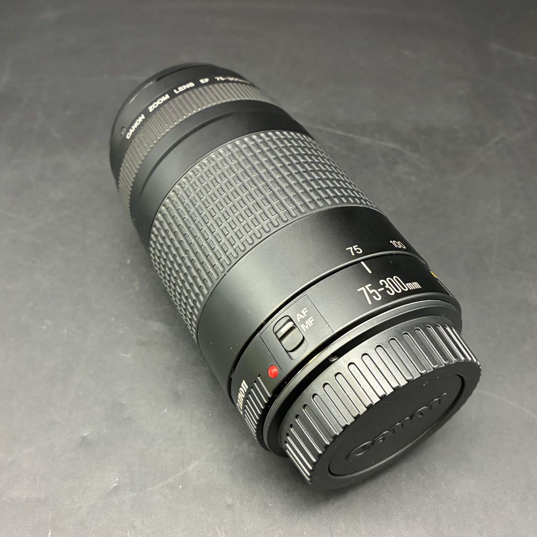 Canon EF 75-300mm f/4-5.6 II ズームレンズ キャノン