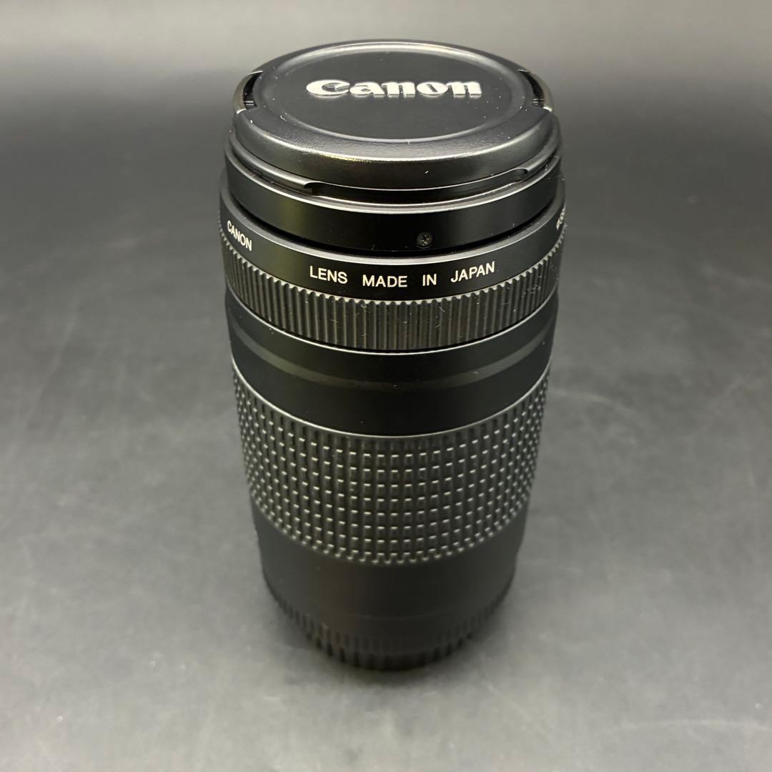 Canon EF 75-300mm f/4-5.6 II ズームレンズ キャノン