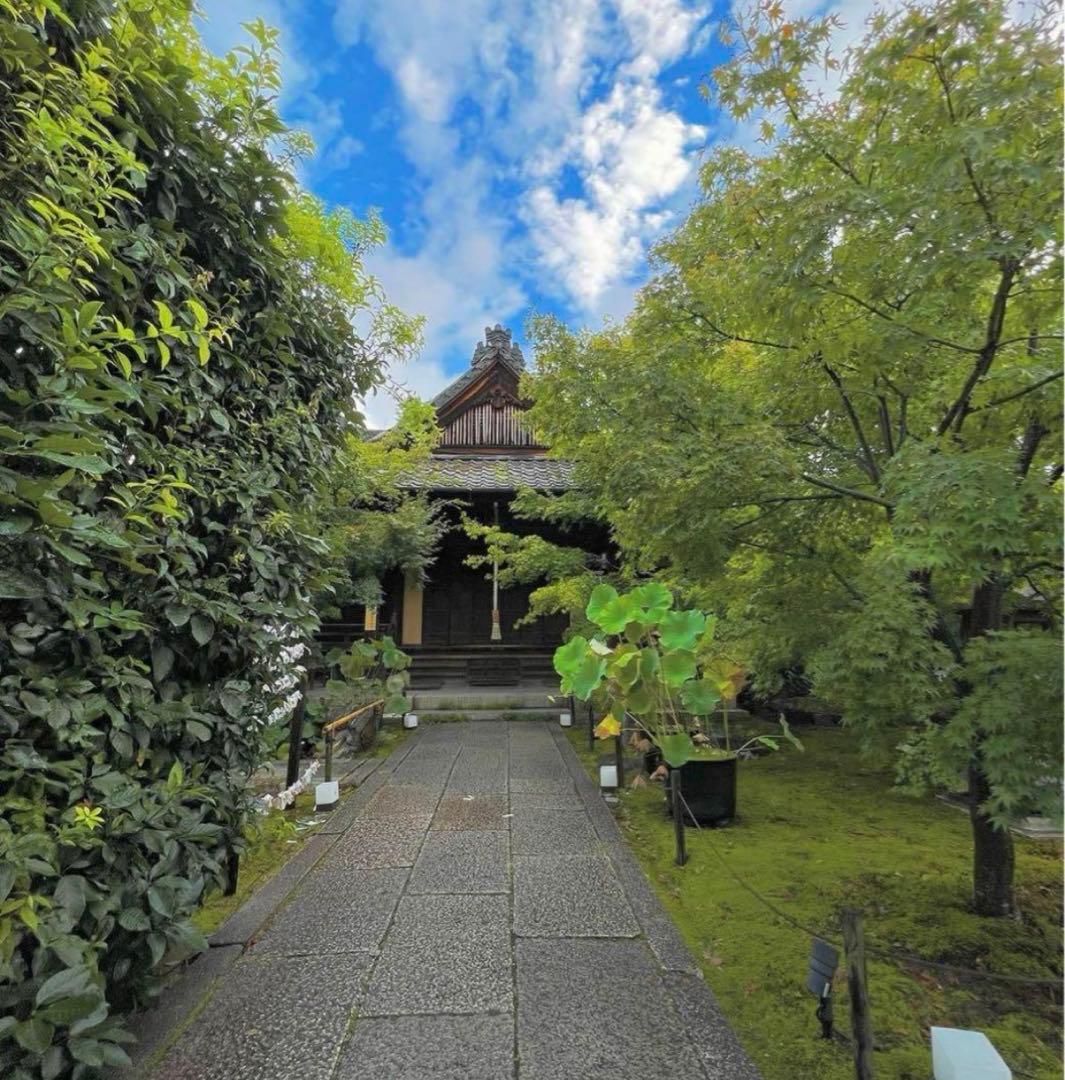 勝林寺♡新作／数量限定／御朱印帳／御朱印ホルダー／ファイル式／パープル／１冊限り