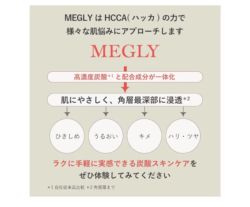 MTG メグリー本体＋専用ガス4本＋No.0化粧水1本セット