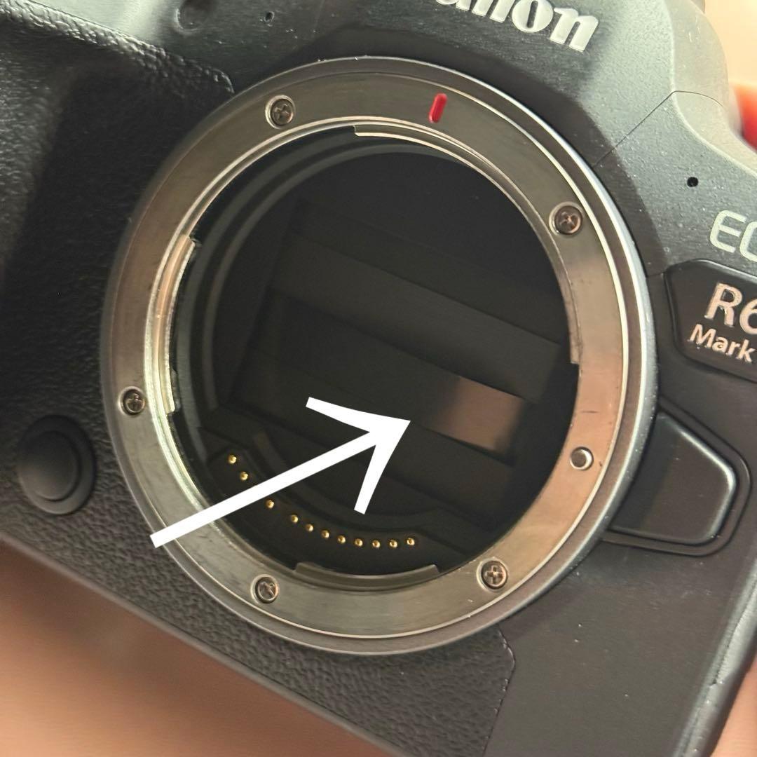 Canon R6mark2 R6MarkⅡカメラ