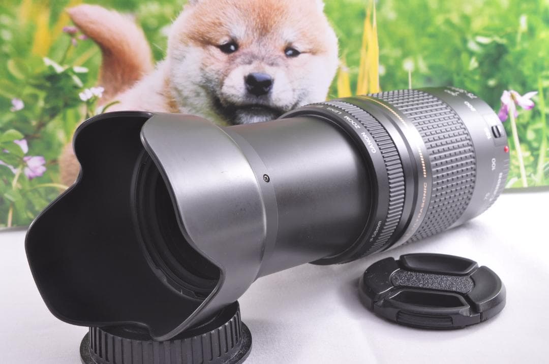望遠レンズ Canon キヤノン EF75-300mm 想い出の瞬間 完動品