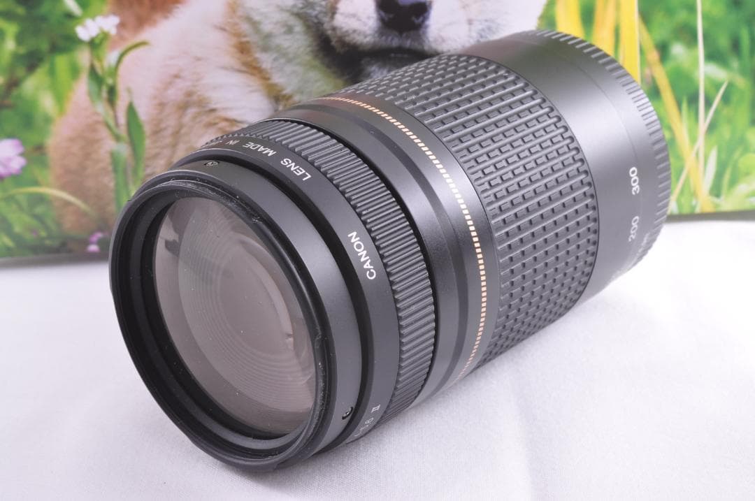 望遠レンズ Canon キヤノン EF75-300mm 想い出の瞬間 完動品