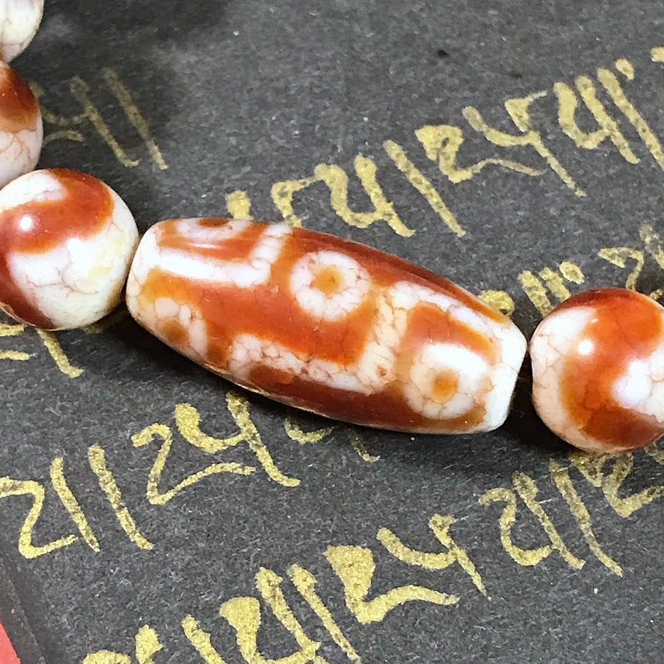 九眼　虎牙　チベット天珠　ブレスレット　Dzi Beads　No.c90