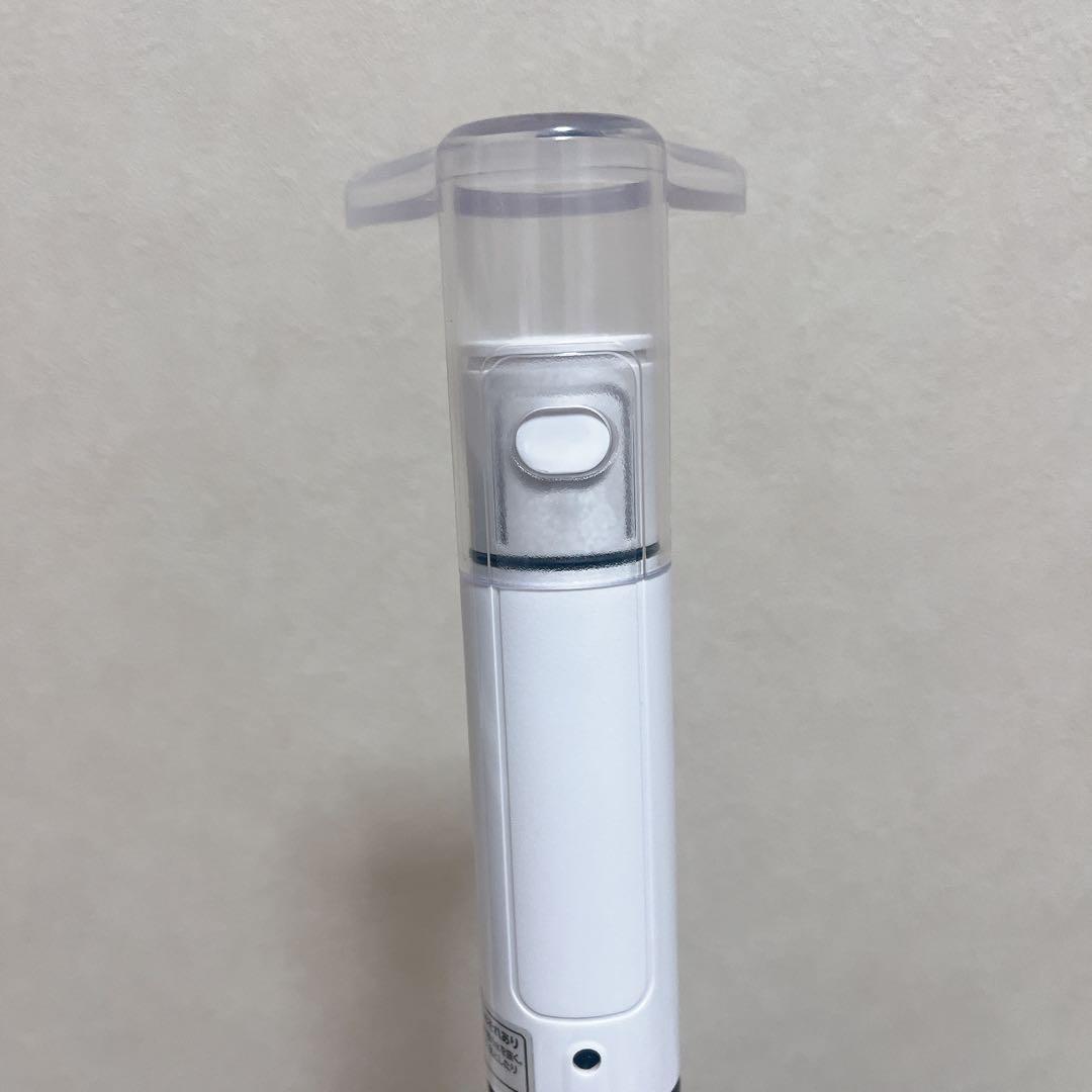 【美品】IRIS OHYAMA リンサークリーナー RNSK-P10