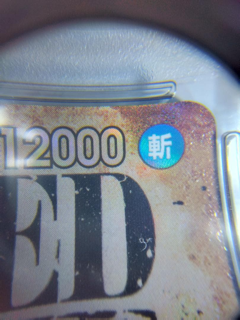 ワンピースカード　手配書PSA10　5枚セット（ニカルフィ、ロジャーなど）