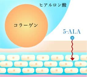 ✨アラプラス✨ボディクリーム アラピ 70g×2✨全身用保湿クリーム