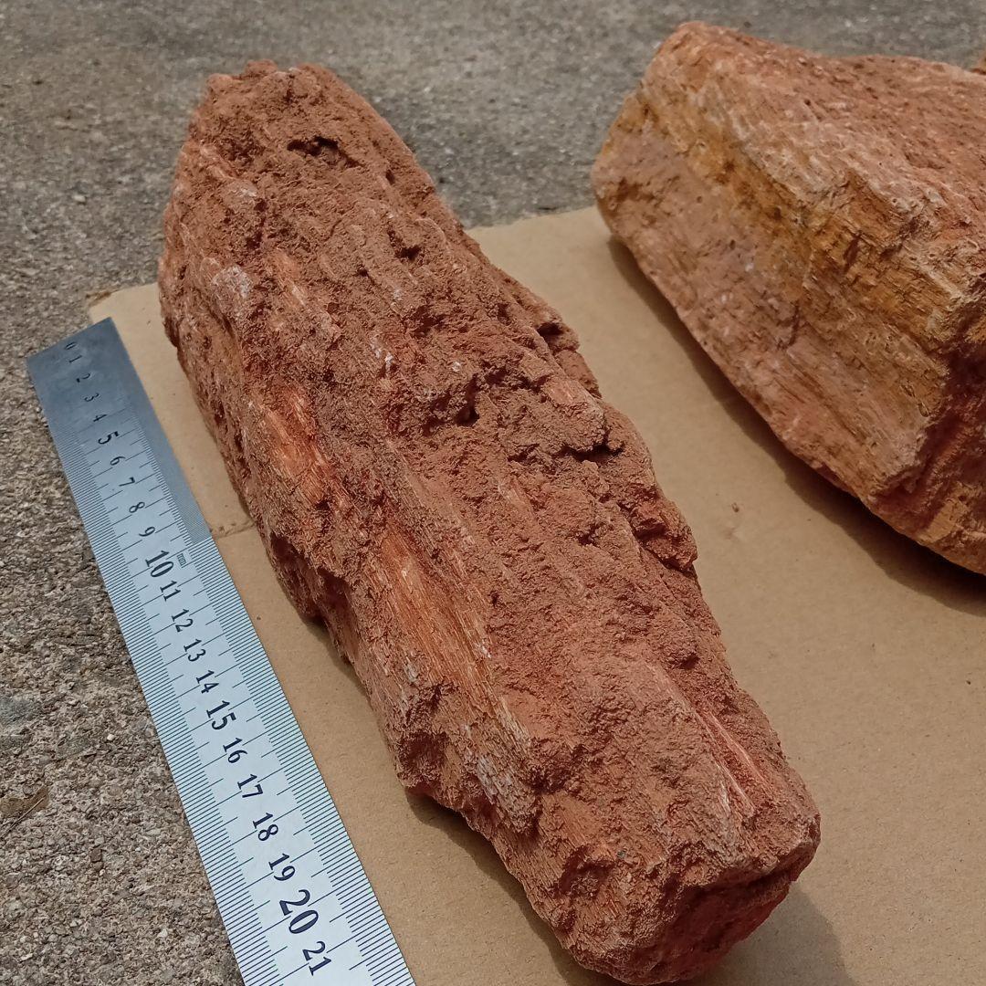 木化石02　約8ｋｇ　アクアリウム 　水槽　レイアウト　石