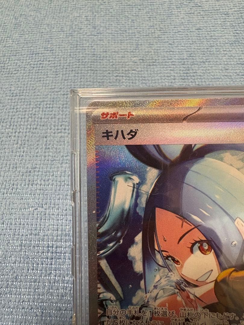キハダ　SAR