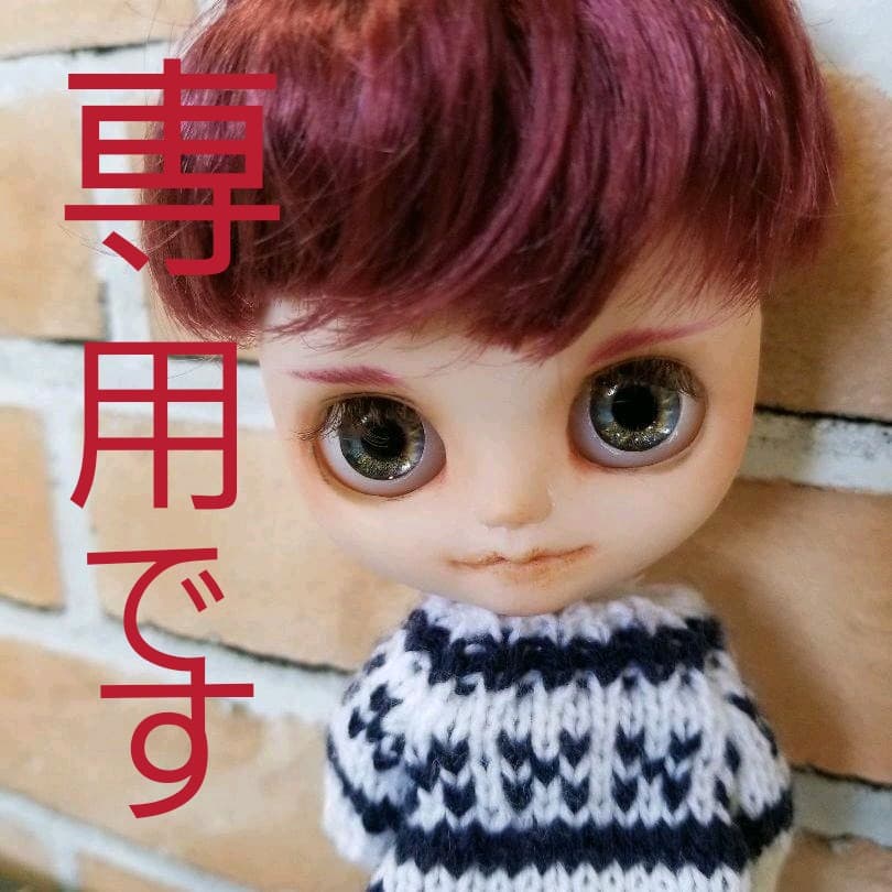 専用♪アイシードール♪男の子♪レッドパープルくん♪ミディサイズ♪#86