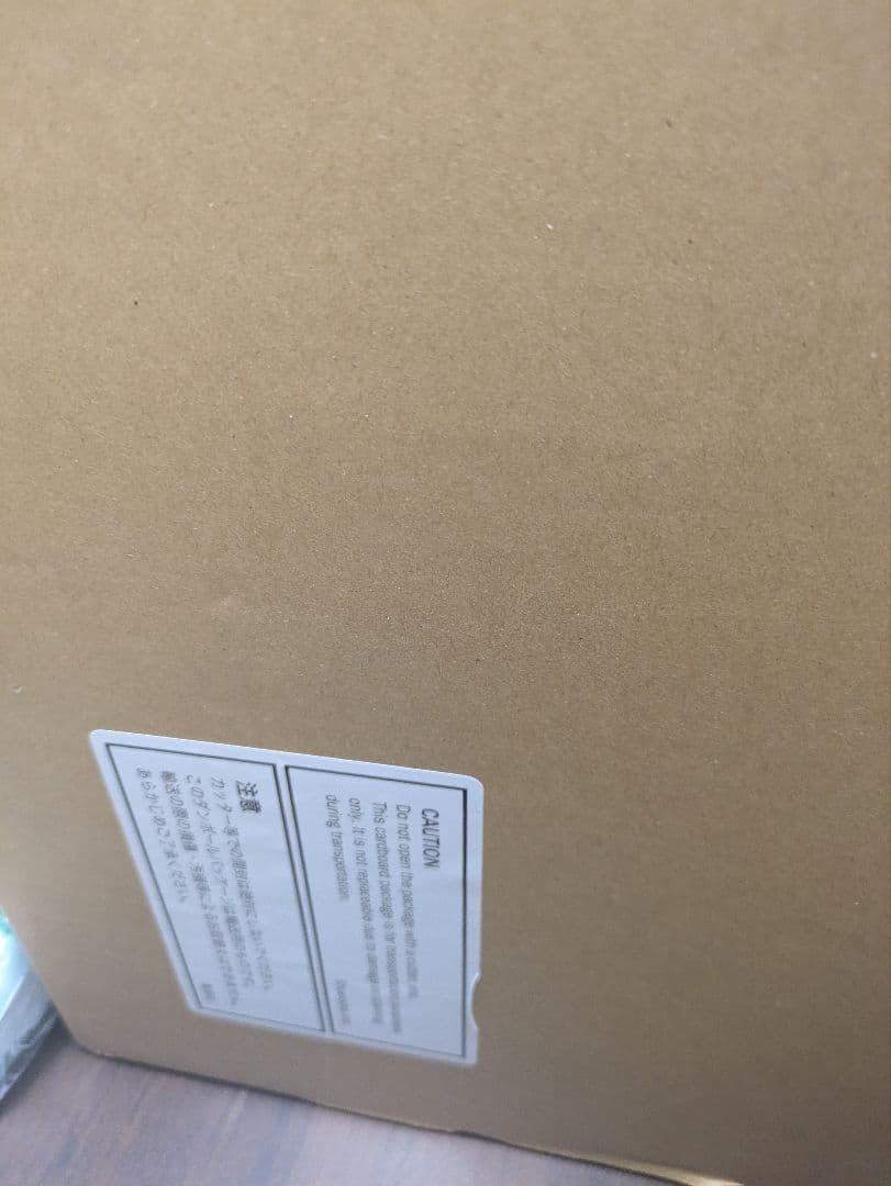 世界20枚限定 ONE PIECE 海底遺跡 NFT 原画 超希少 ワンピース