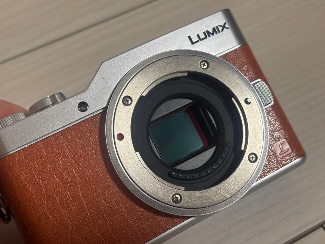 Panasonic LUMIX GF9 ミラーレス一眼 12-32mm