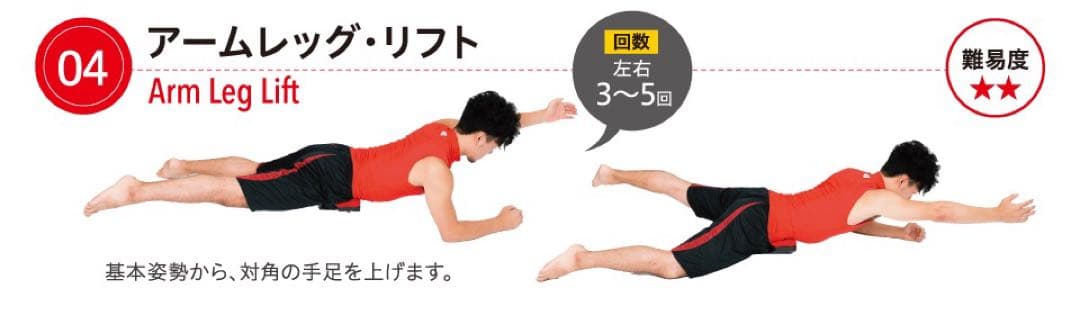 LPN スイングストレッチ ストレッチポール
