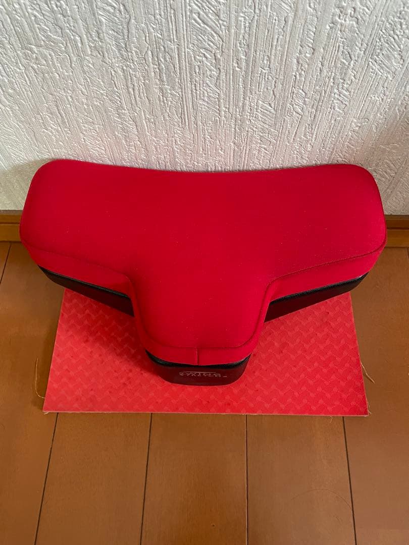 LPN スイングストレッチ ストレッチポール