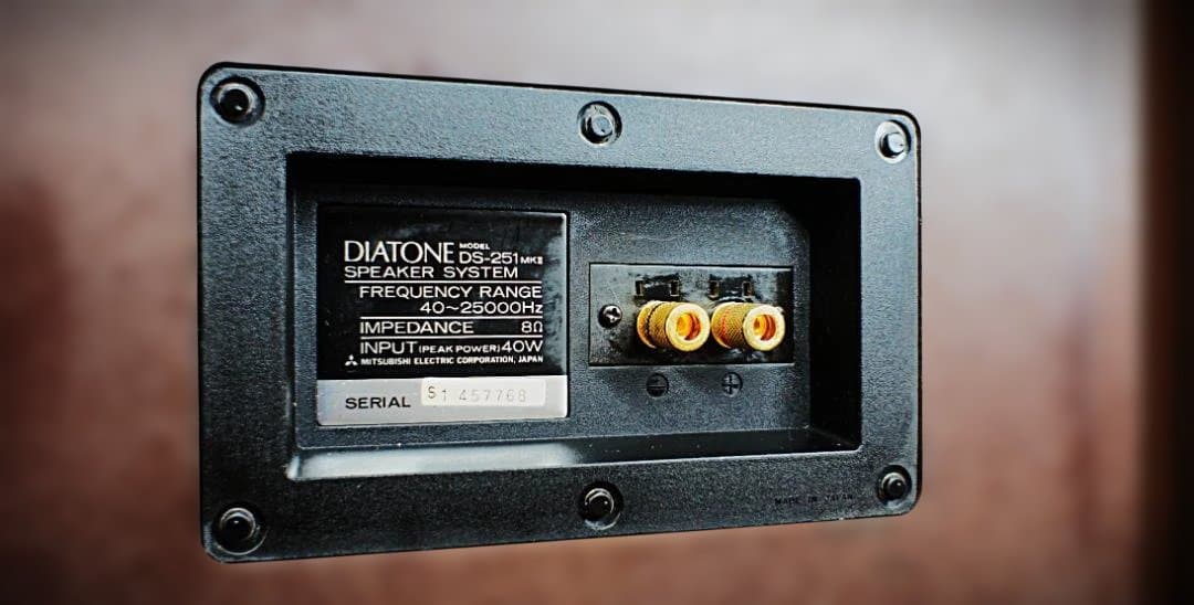 【超美品】DIATONE スピーカー DS-251MKⅡ　R側