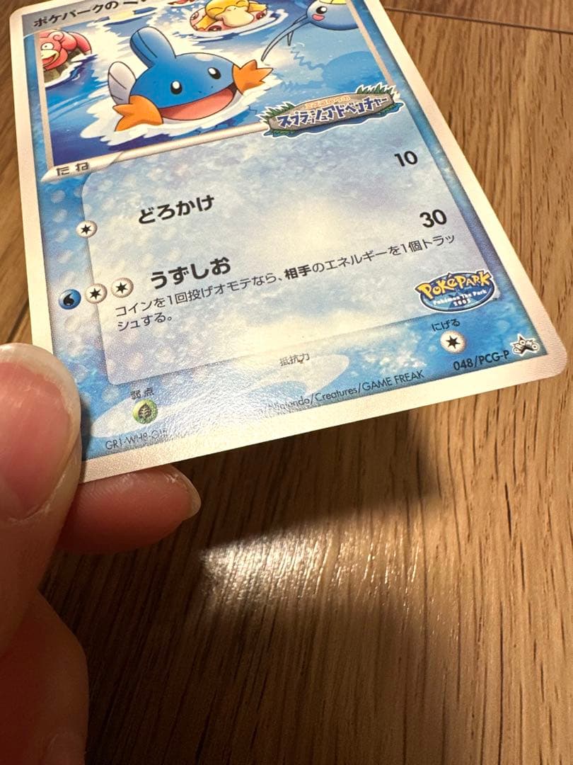 ポケパーク ミズゴロウ ポケモンカード