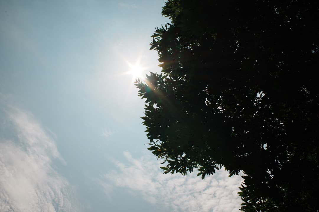 【黄変低減済】 ペンタックス SMC Takumar 35mm F2 105
