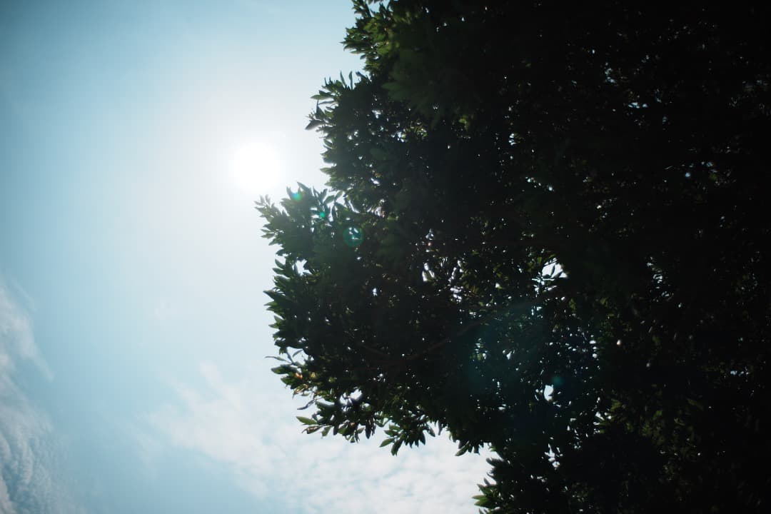【黄変低減済】 ペンタックス SMC Takumar 35mm F2 105