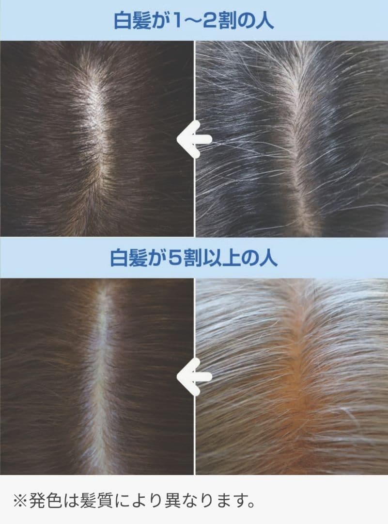 琉球ヘナカラー 美ら艶 100g×2箱　カタログハウス　通販生活