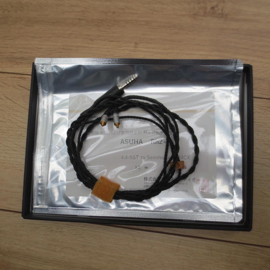 イヤホン SENNHEISER IE900 +BriseAudio ASUHA RH2+