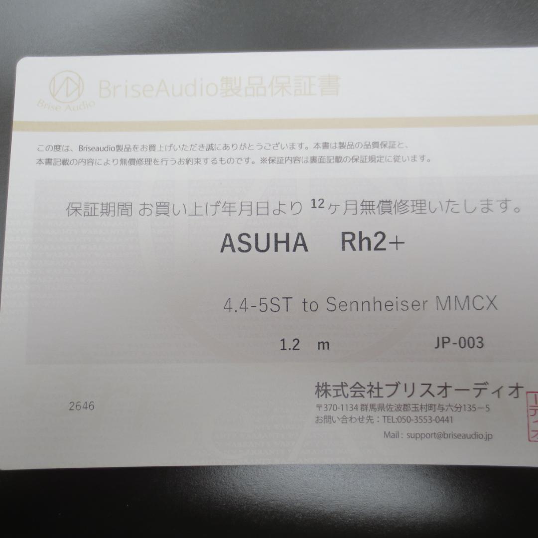 イヤホン SENNHEISER IE900 +BriseAudio ASUHA RH2+