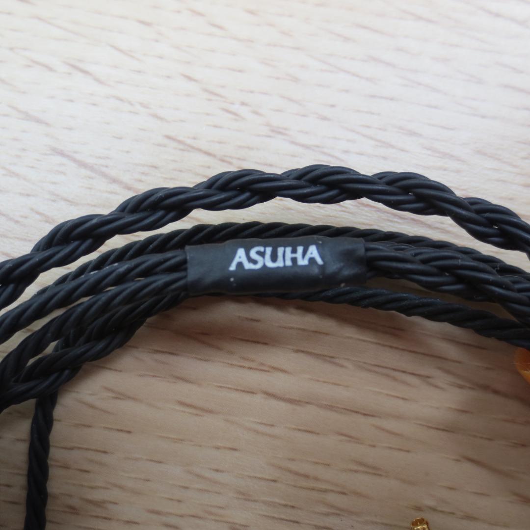 イヤホン SENNHEISER IE900 +BriseAudio ASUHA RH2+