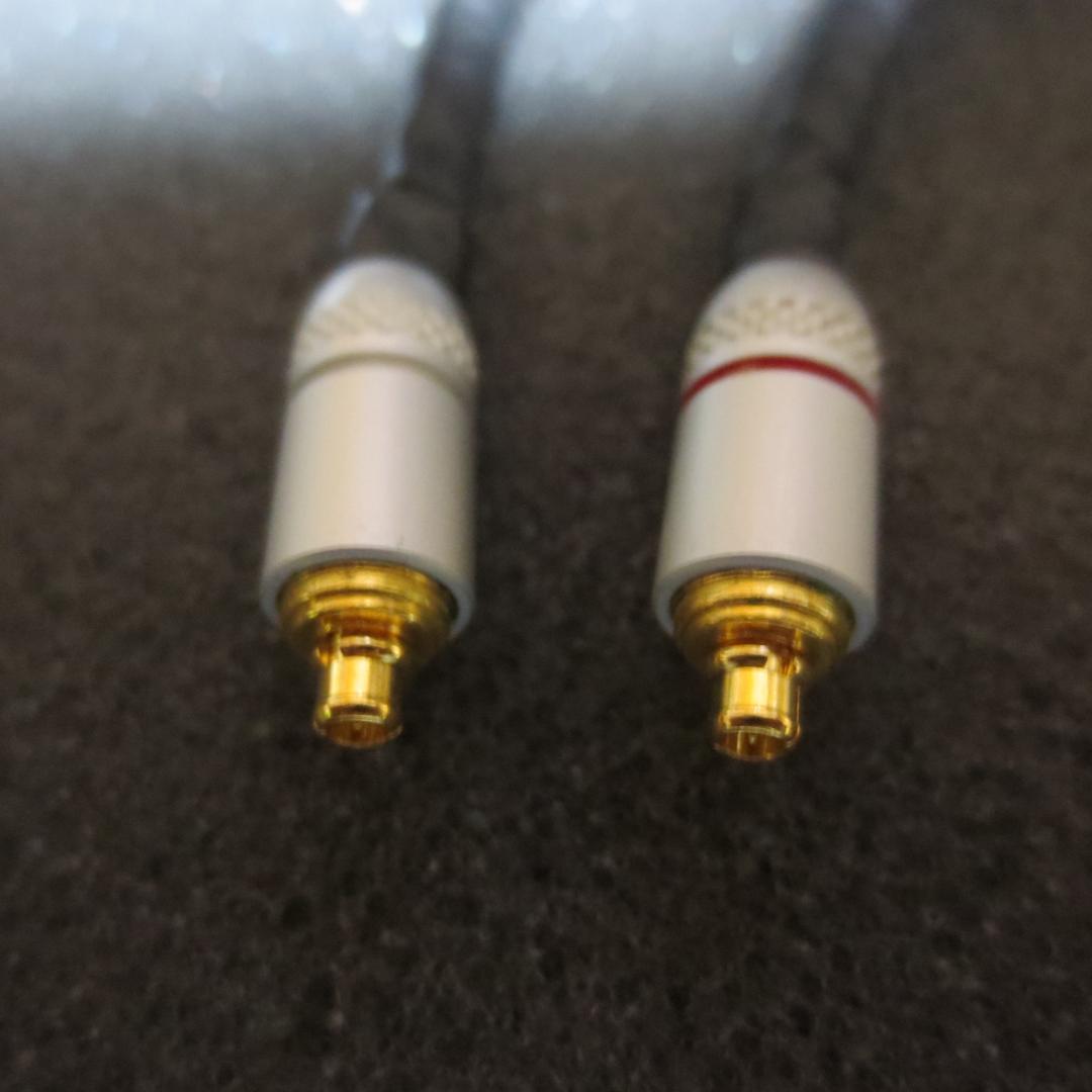 イヤホン SENNHEISER IE900 +BriseAudio ASUHA RH2+