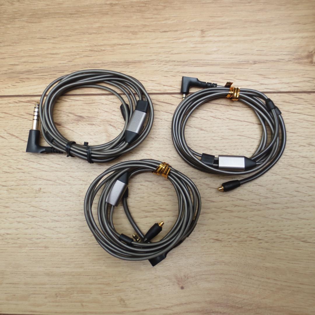 イヤホン SENNHEISER IE900 +BriseAudio ASUHA RH2+