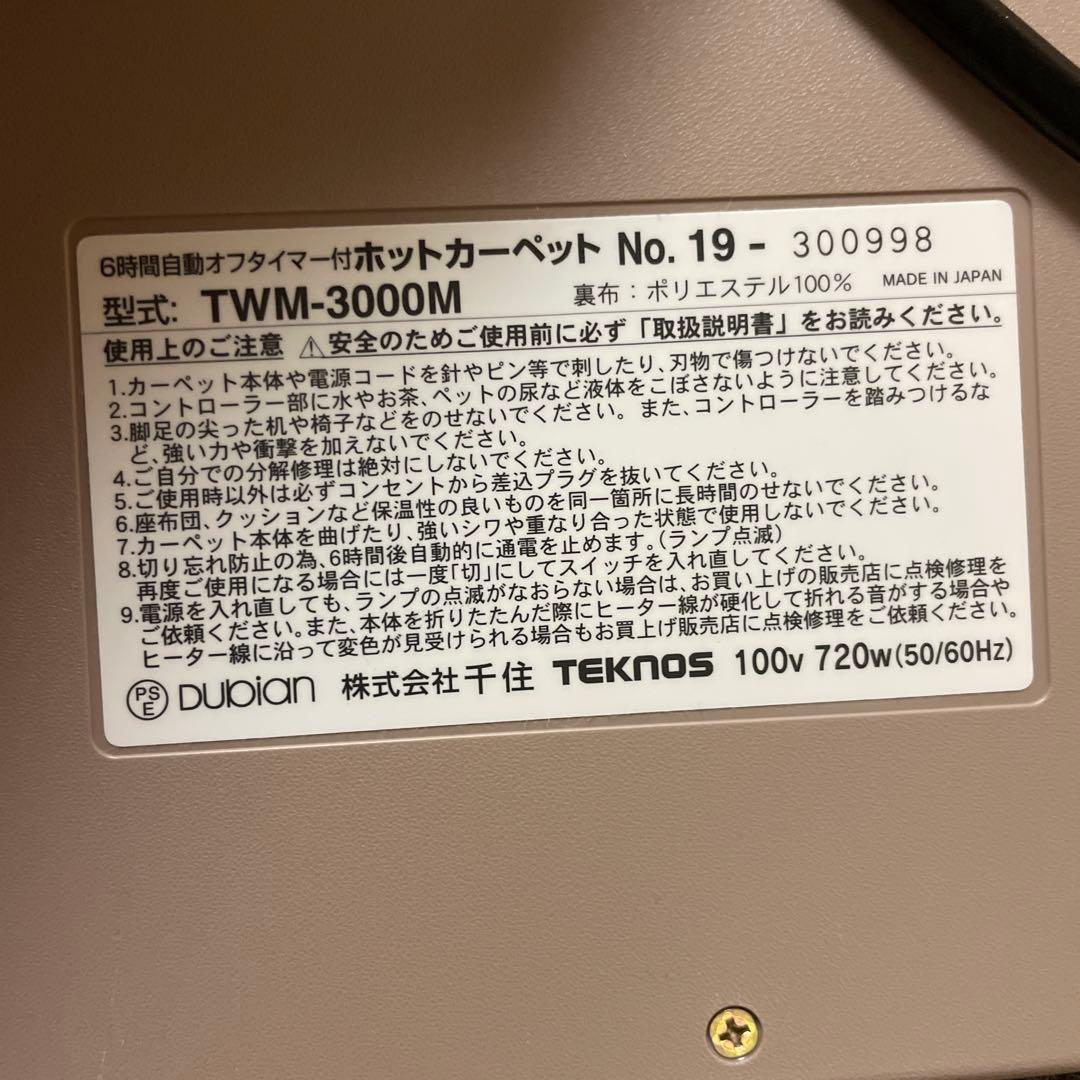 TEKNOS 木目フローリングタイプ カーペット3畳 TWM-3000M