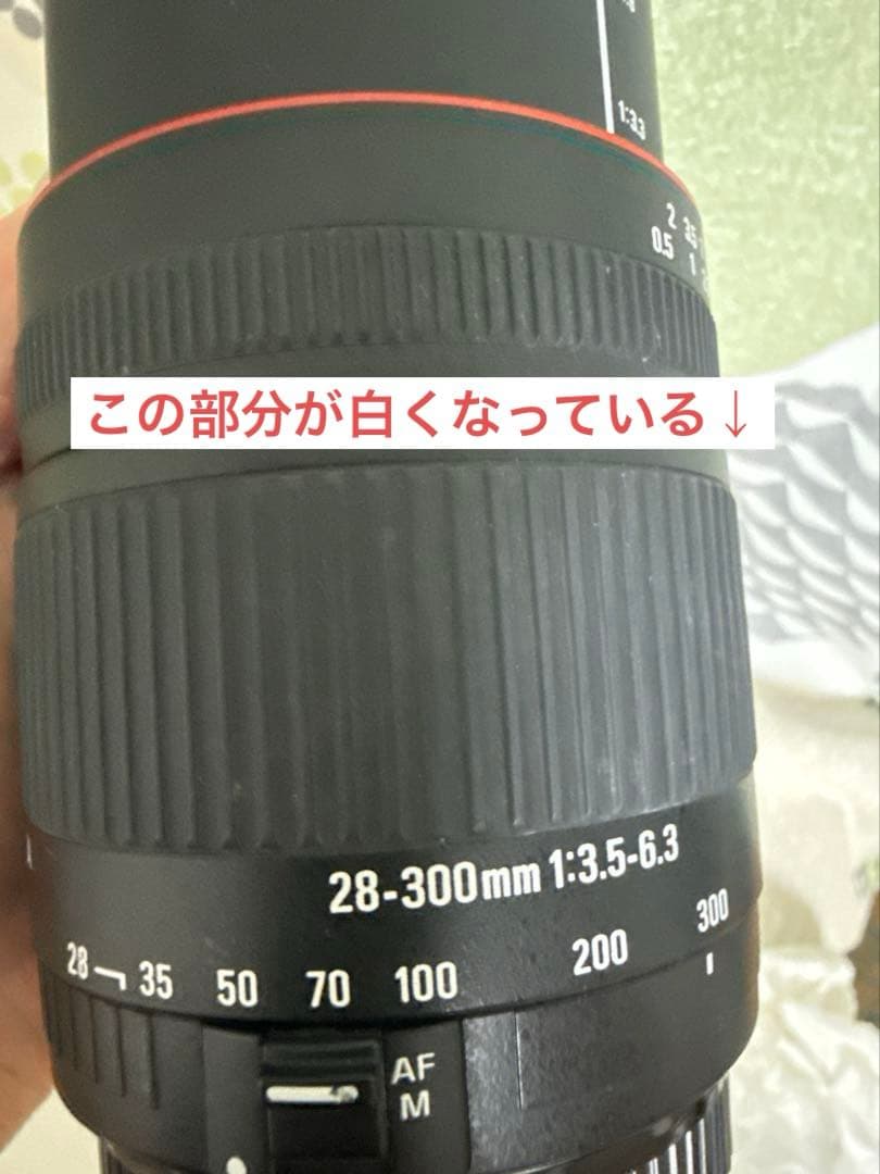 SIGMA 28-300mm F3.5-6.3 DC Canon EF用 ズーム