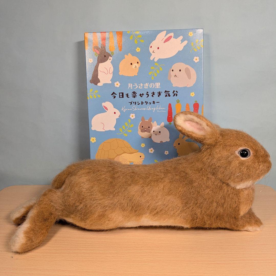 羊毛フェルト　うさぎ　まったりオレンジドワーフ　のあ