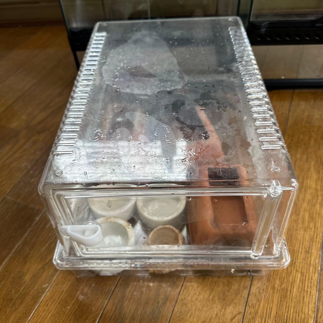 爬虫類飼育ケージ2個と付属品セット