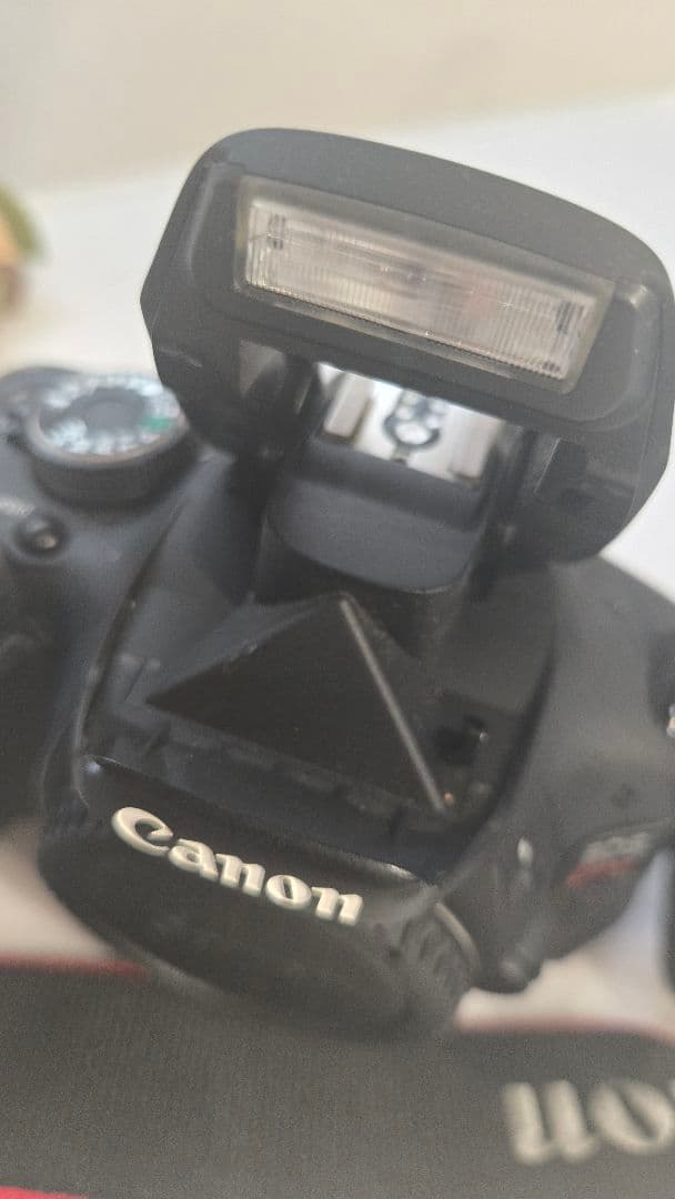 【動作確認済】Canon EOS Kiss X5 レンズキット カメラバッグ付
