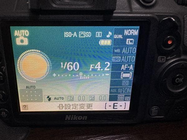 ニコン Nikon D3100 レンズキット 一眼レフカメラ＃3622