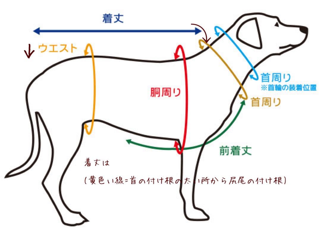 chimocoページです　ダックス　犬服　フリフリロンパース　リボン柄