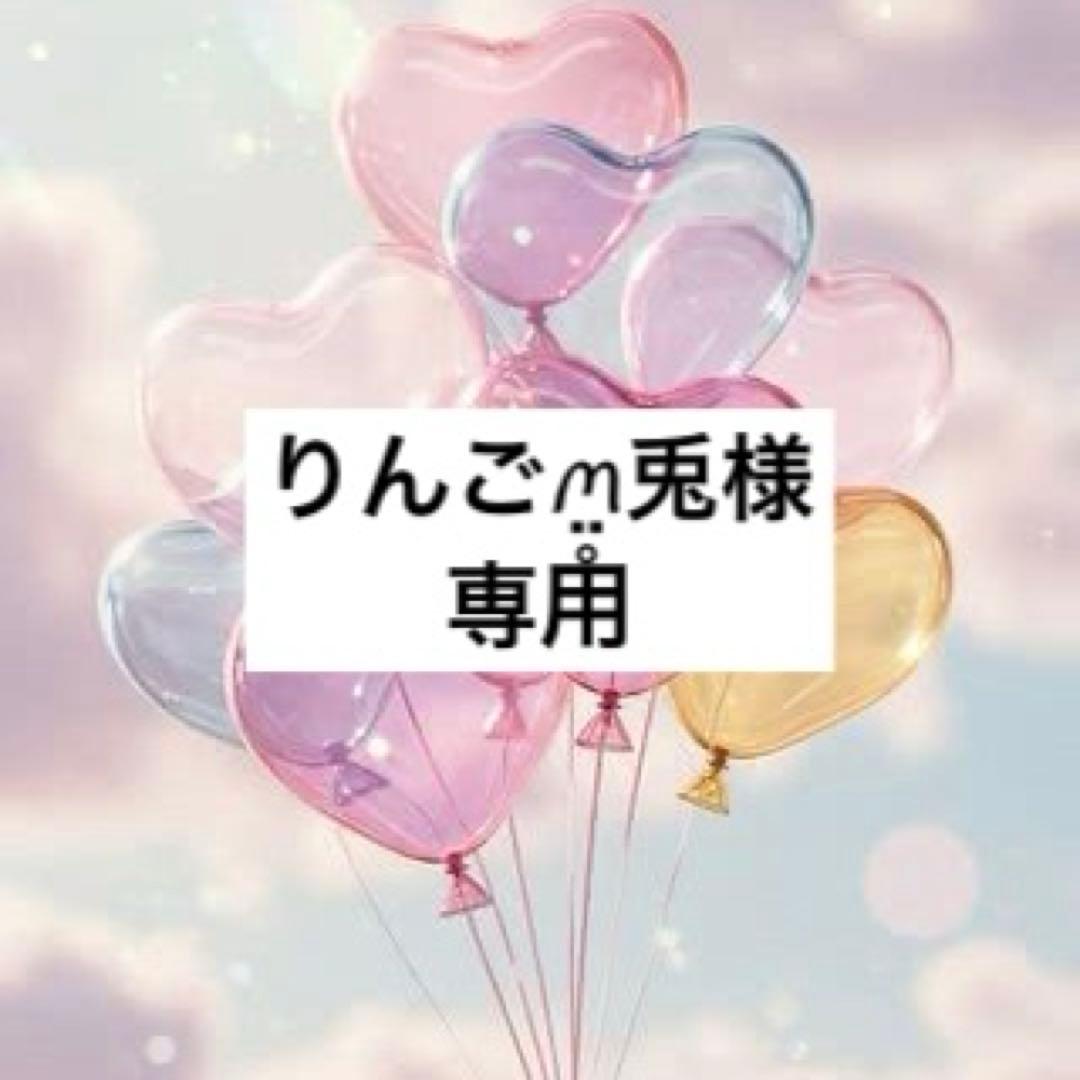 りんご‪ꪔ̤̥‬‪兎様♡お取置き✩.*˚最長3月27日まで