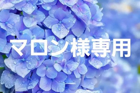 マロンマスク習慣【E-Lineマスク】『ベージュレッド』大きめ39枚×5箱