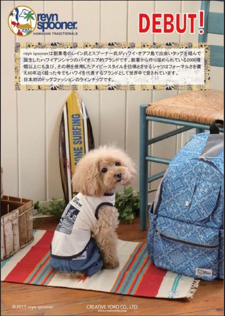 希少コラボ✨ペットパラダイス レインスプーナー ペットキャリー ハグ＆リュック