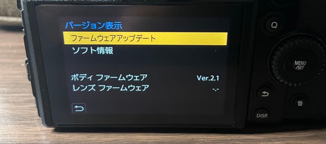 ★Panasonic LUMIX DC-S1