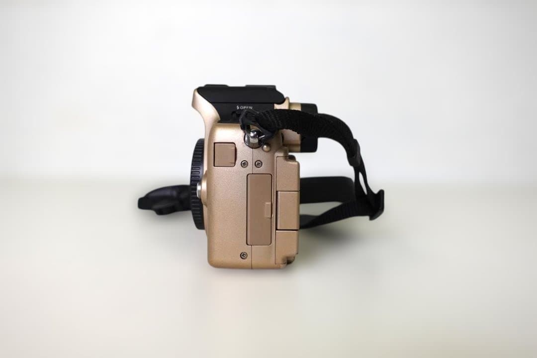 LUMIX DMC-GH1 ゴールドボディ（純正バッテリー2個付・充電器付）