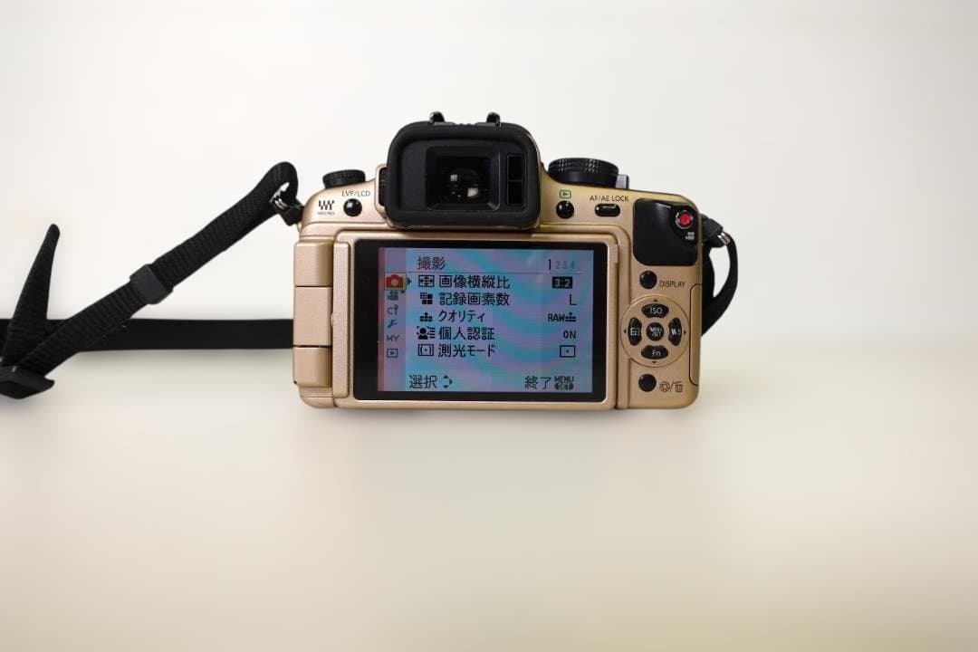 LUMIX DMC-GH1 ゴールドボディ（純正バッテリー2個付・充電器付）