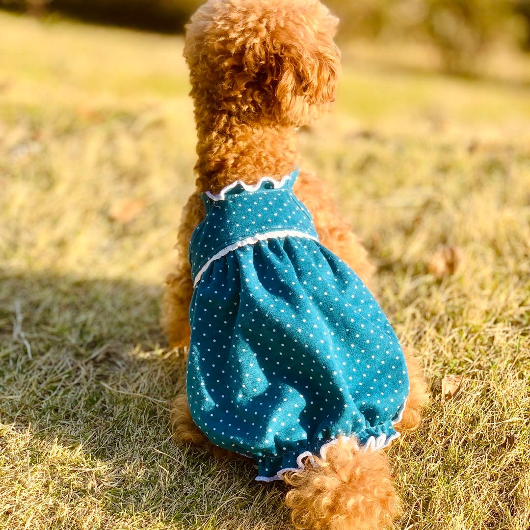No.35 ハンドメイド犬服 ドットスムースのキャミバルーンワンピ