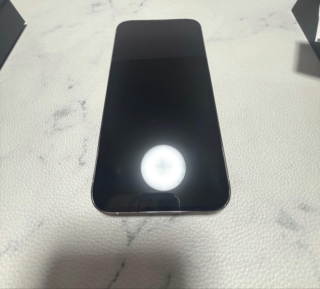 Apple iPhone 13 ProMax シルバー 256GB