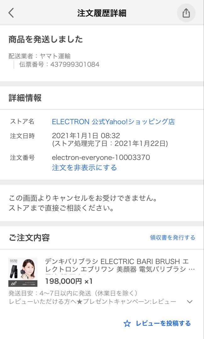 Electron エレクトロン 電気バリブラシ