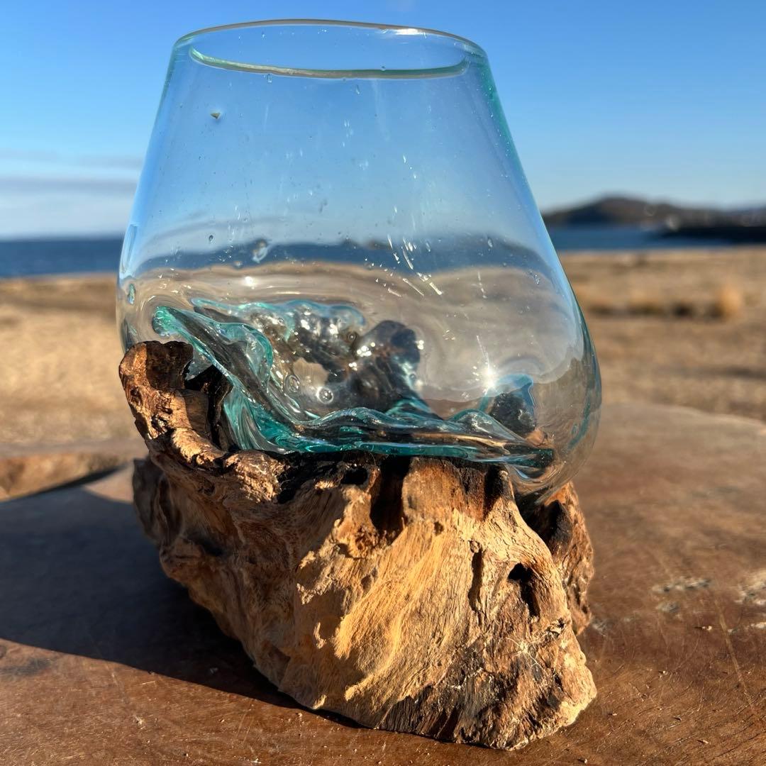 流木ガラスオブジェXSP 花瓶 金魚鉢 ガーデニング テラリウム 観賞魚 容器