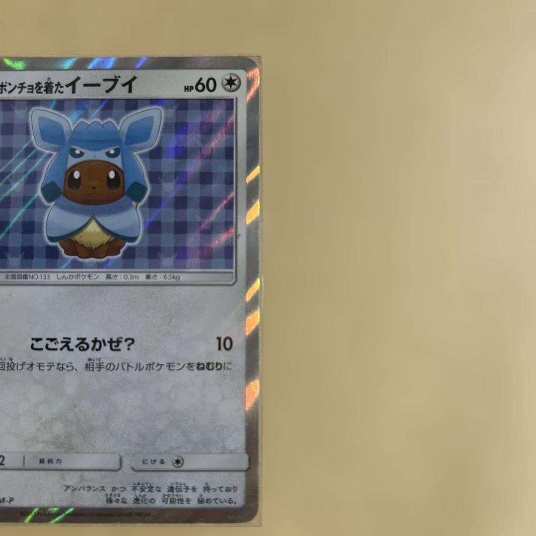 ポンチョを着たイーブイ